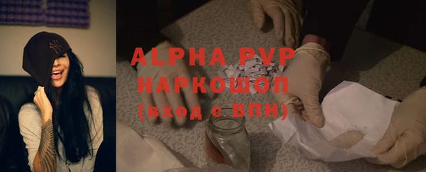 apvp Верея